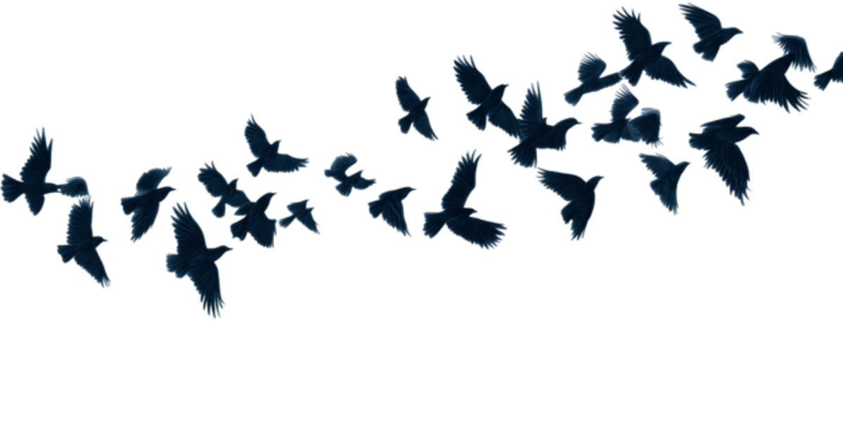 Particle Swarm Optimization